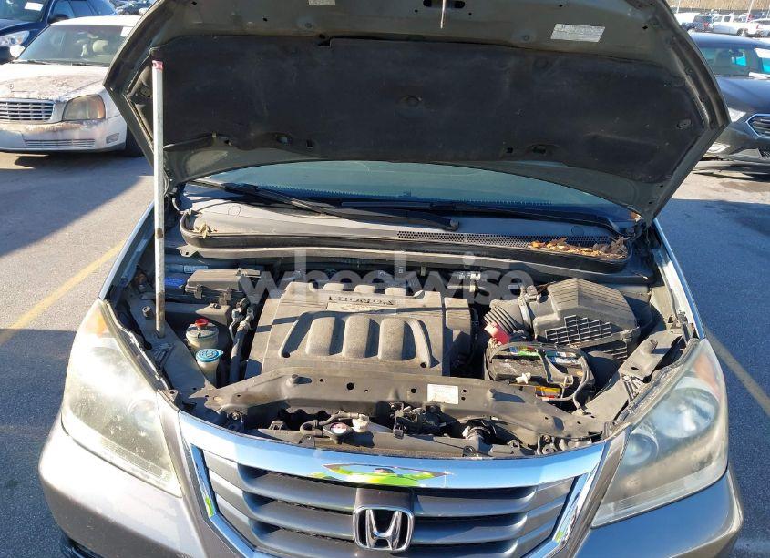 Photo 10 of 2010 Honda Odyssey EX-L (VIN 5FNRL3H76AB010388)