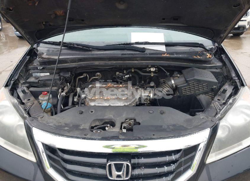 Photo 10 of 2010 Honda Odyssey EX-L (VIN 5FNRL3H77AB016202)