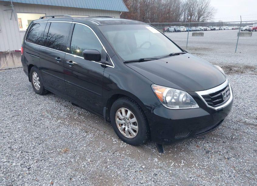 2010 Honda Odyssey EX-L (VIN 5FNRL3H77AB026244) main photo