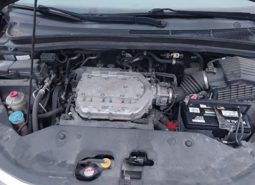 Photo 10 of 2010 Honda Odyssey EX-L (VIN 5FNRL3H77AB026244)