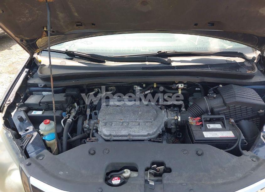 Photo 10 of 2010 Honda Odyssey EX-L (VIN 5FNRL3H77AB036420)