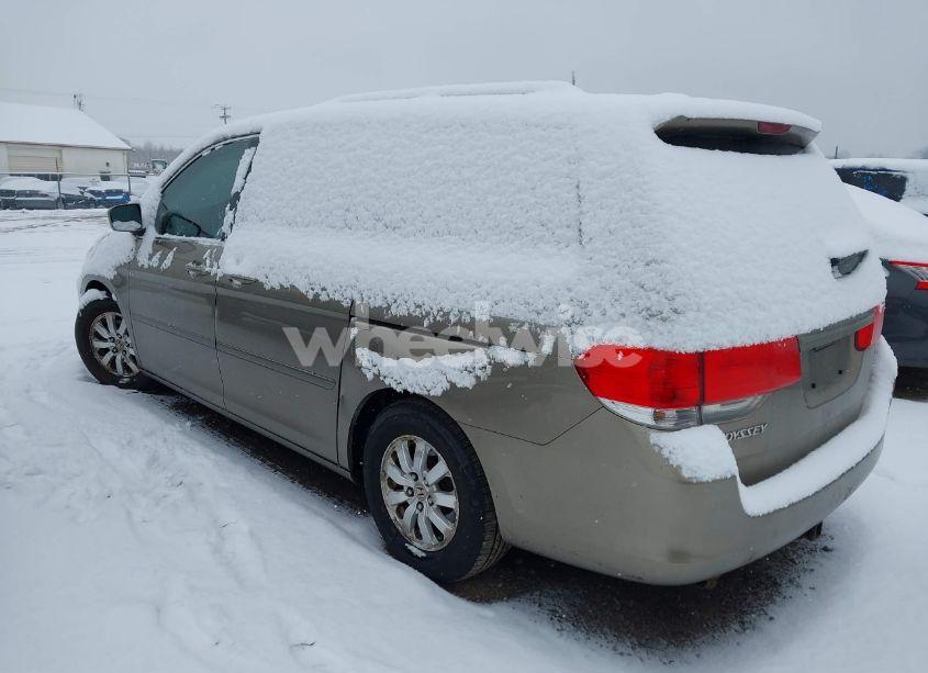 Photo 3 of 2010 Honda Odyssey EX-L (VIN 5FNRL3H77AB109320)