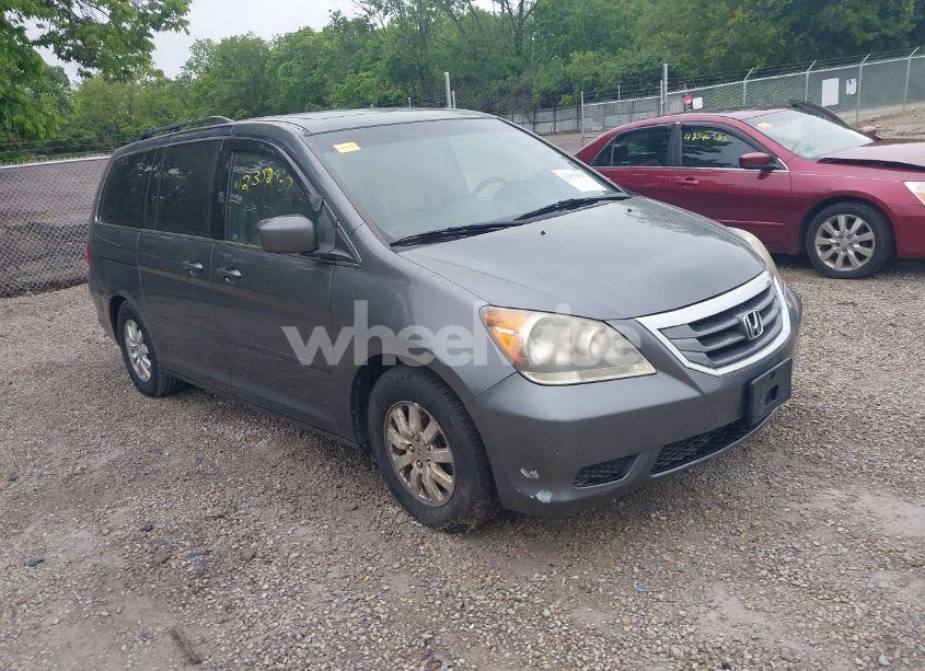 2010 Honda Odyssey EX-L (VIN 5FNRL3H78AB023627) main photo