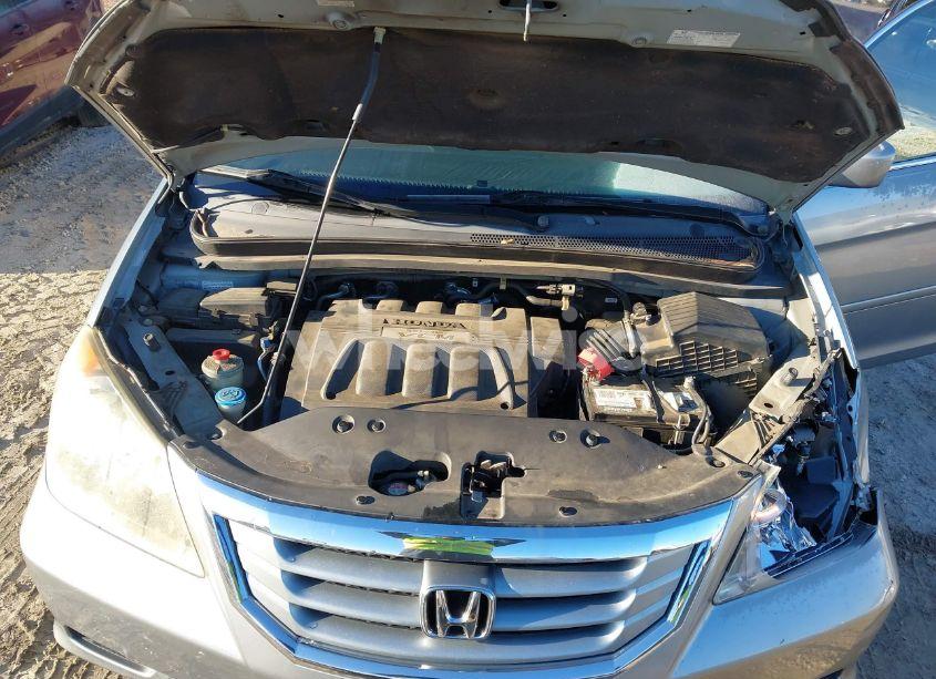 Photo 10 of 2010 Honda Odyssey EX-L (VIN 5FNRL3H79AB089510)