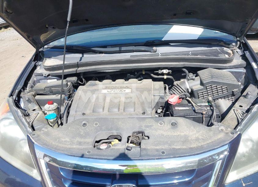 Photo 10 of 2010 Honda Odyssey EX-L (VIN 5FNRL3H7XAB059450)