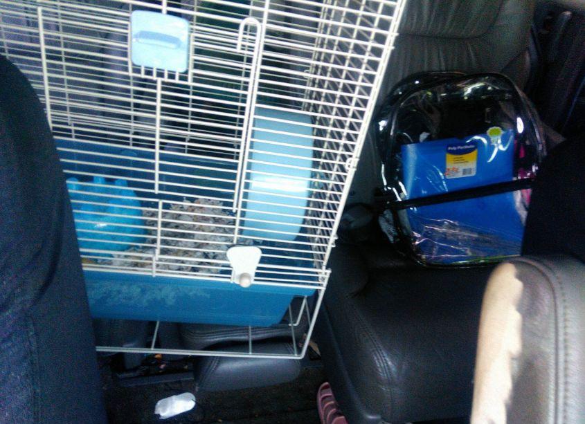 Photo 8 of 2010 Honda Odyssey TOURING (VIN 5FNRL3H92AB006257)