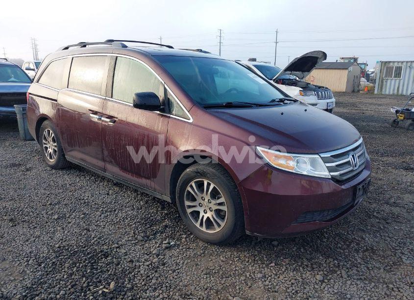 2011 Honda Odyssey EX-L (VIN 5FNRL5H67BB018388) main photo