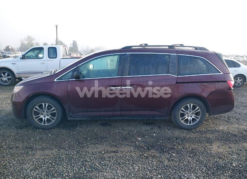 Photo 14 of 2011 Honda Odyssey EX-L (VIN 5FNRL5H67BB018388)