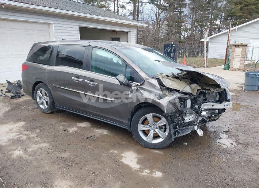 2019 Honda Odyssey EX (VIN 5FNRL6H50KB097304) main photo