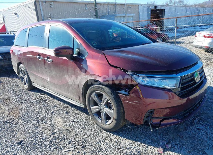 2021 Honda Odyssey EX (VIN 5FNRL6H51MB019505) main photo