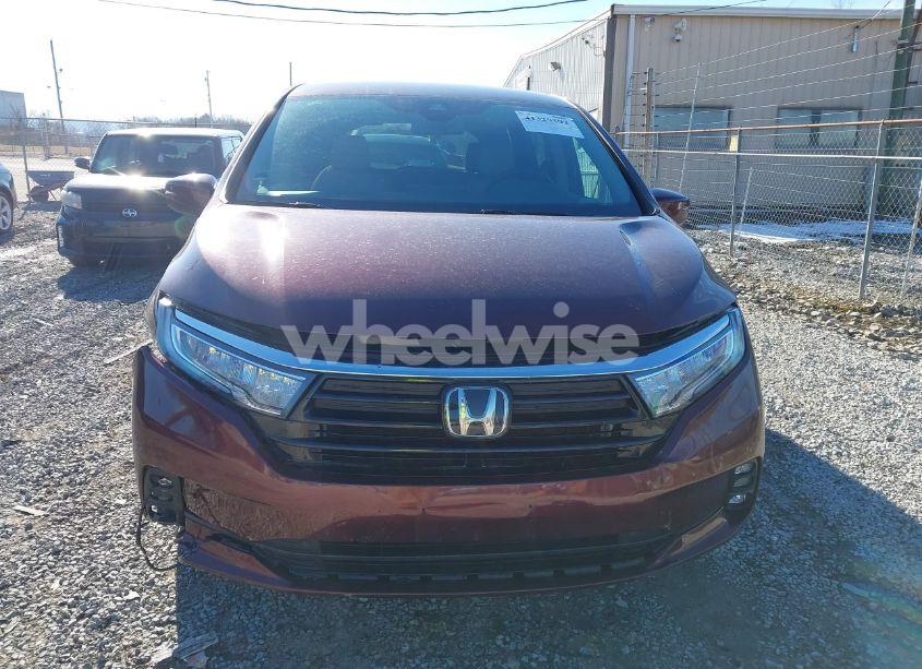 Photo 12 of 2021 Honda Odyssey EX (VIN 5FNRL6H51MB019505)