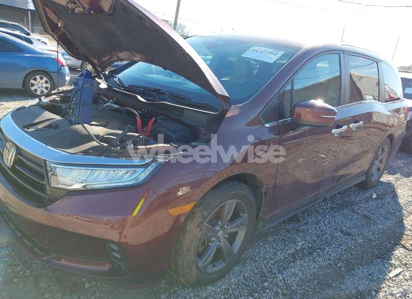 Photo 2 of 2021 Honda Odyssey EX (VIN 5FNRL6H51MB019505)