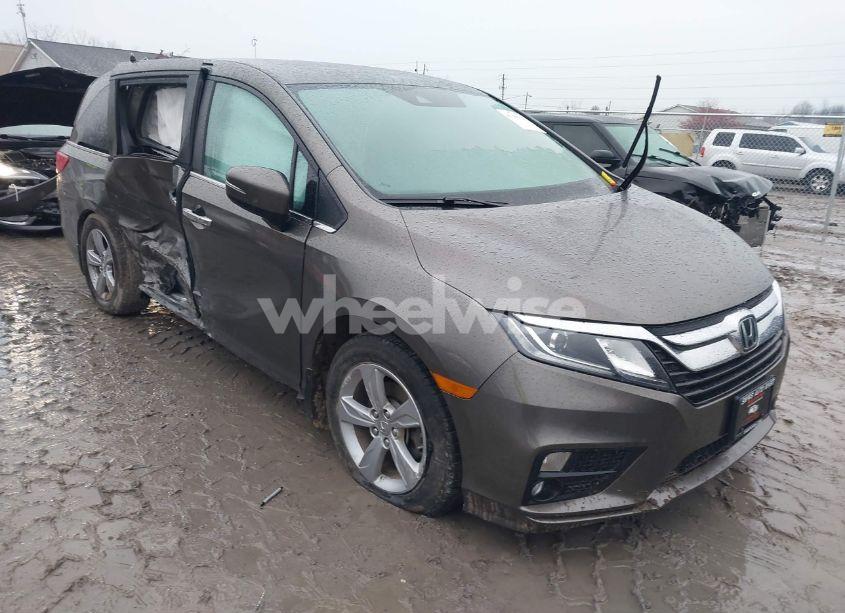 2019 Honda Odyssey EX (VIN 5FNRL6H53KB131882) main photo