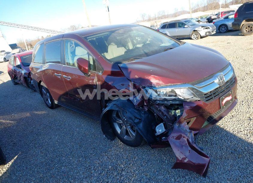 2019 Honda Odyssey EX (VIN 5FNRL6H55KB026390) main photo