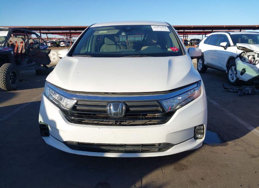 Photo 11 of 2021 Honda Odyssey EX (VIN 5FNRL6H57MB024109)