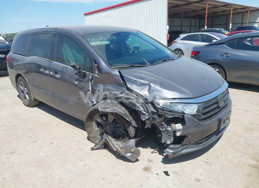 2021 Honda Odyssey EX (VIN 5FNRL6H58MB043929) main photo