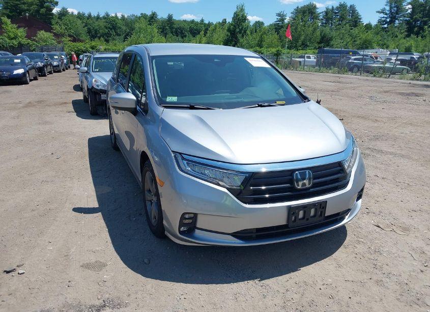 2024 Honda Odyssey EX (VIN 5FNRL6H58RB011991) main photo