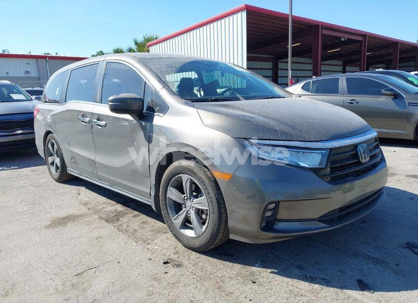 2021 Honda Odyssey EX (VIN 5FNRL6H59MB036990) main photo