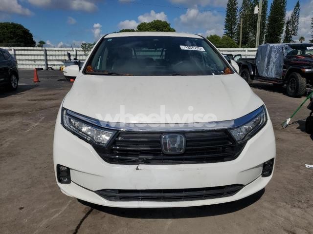 2021 HONDA ODYSSEY EX (VIN 5FNRL6H59MB044202) main photo