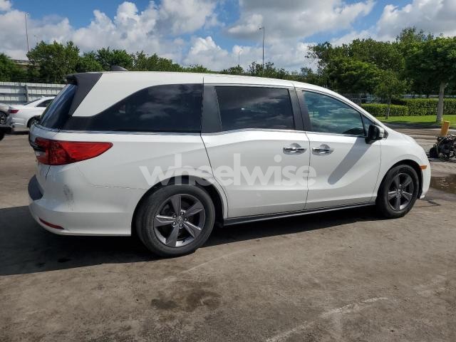 Photo 12 of 2021 HONDA ODYSSEY EX (VIN 5FNRL6H59MB044202)