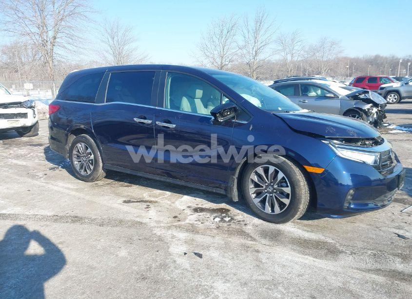 2024 Honda Odyssey EX-L (VIN 5FNRL6H60RB061017) main photo