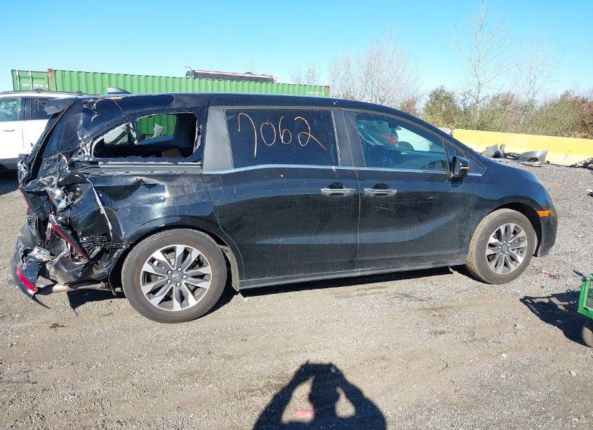Photo 13 of 2024 Honda Odyssey EX-L (VIN 5FNRL6H60RB062832)