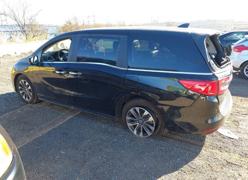 Photo 14 of 2024 Honda Odyssey EX-L (VIN 5FNRL6H60RB062832)
