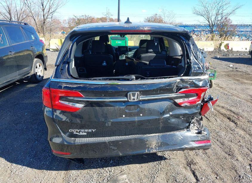 Photo 16 of 2024 Honda Odyssey EX-L (VIN 5FNRL6H60RB062832)