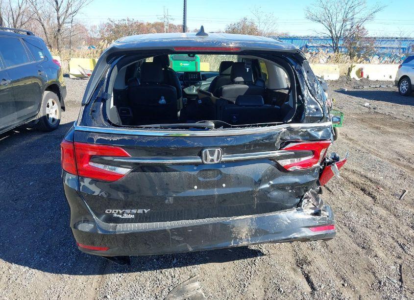 Photo 18 of 2024 Honda Odyssey EX-L (VIN 5FNRL6H60RB062832)