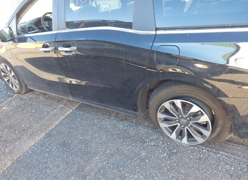 Photo 19 of 2024 Honda Odyssey EX-L (VIN 5FNRL6H60RB062832)