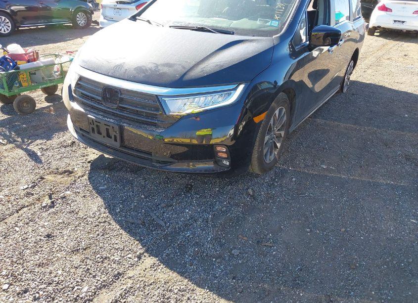 Photo 2 of 2024 Honda Odyssey EX-L (VIN 5FNRL6H60RB062832)