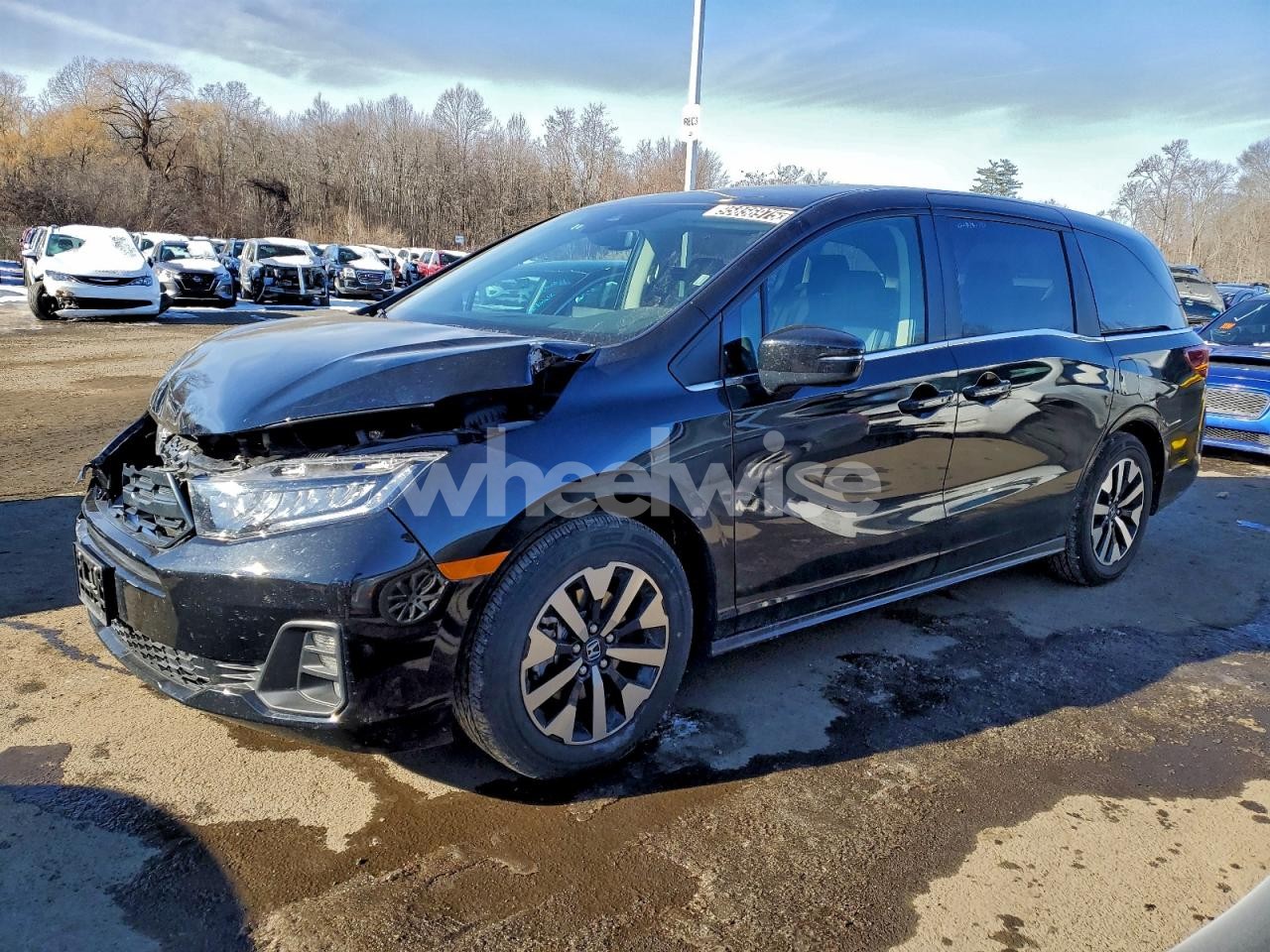 2025 HONDA ODYSSEY EXL (VIN 5FNRL6H60SB084304) main photo