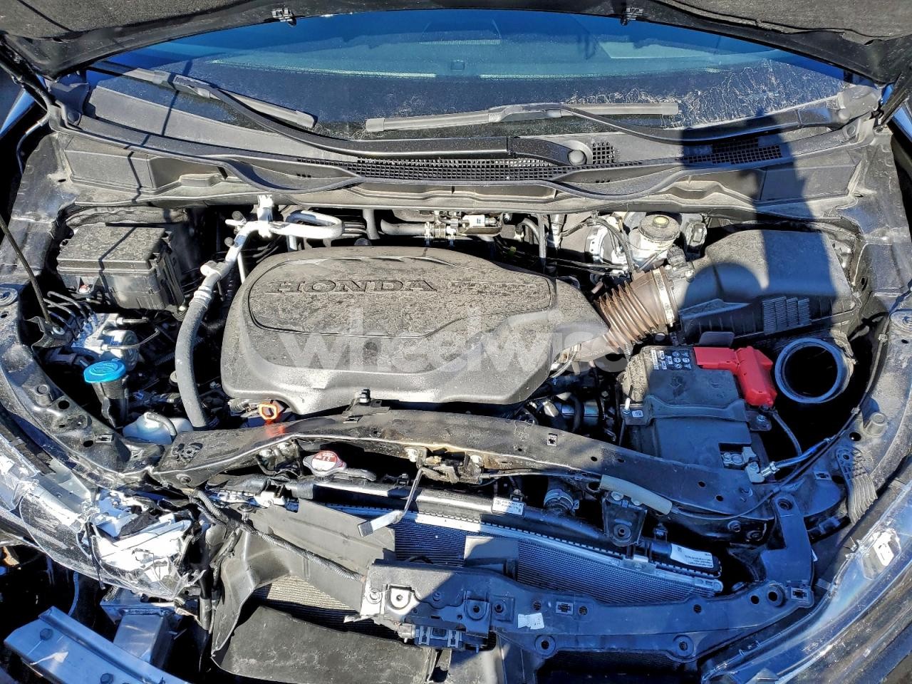 Photo 12 of 2025 HONDA ODYSSEY EXL (VIN 5FNRL6H60SB084304)