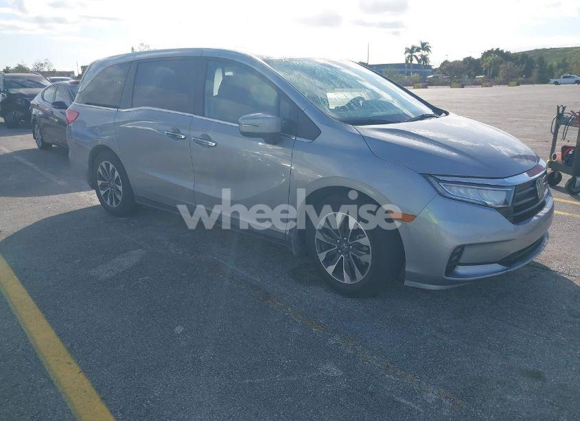 2024 Honda Odyssey EX-L (VIN 5FNRL6H61RB050544) main photo