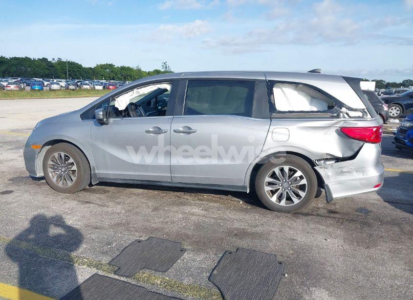 Photo 14 of 2024 Honda Odyssey EX-L (VIN 5FNRL6H61RB050544)