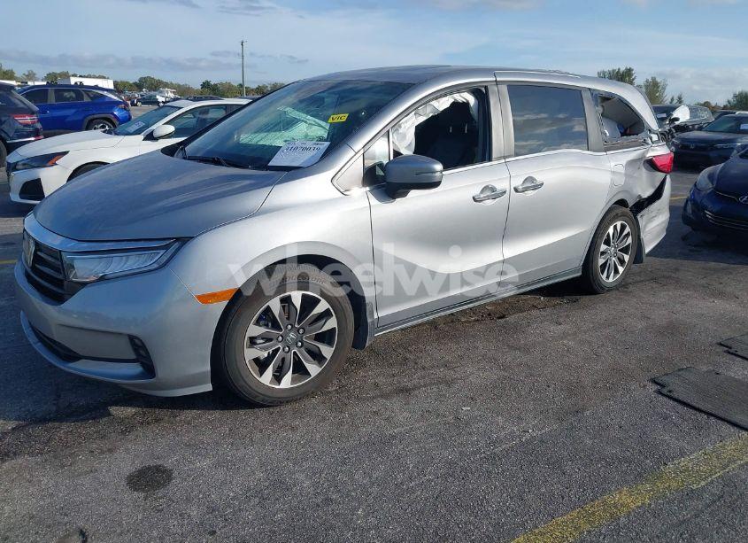 Photo 2 of 2024 Honda Odyssey EX-L (VIN 5FNRL6H61RB050544)