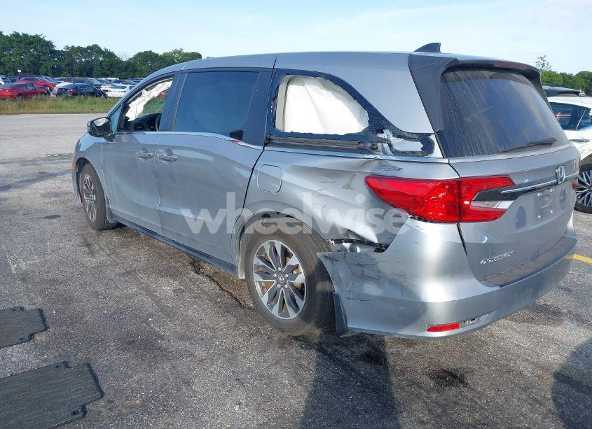 Photo 3 of 2024 Honda Odyssey EX-L (VIN 5FNRL6H61RB050544)