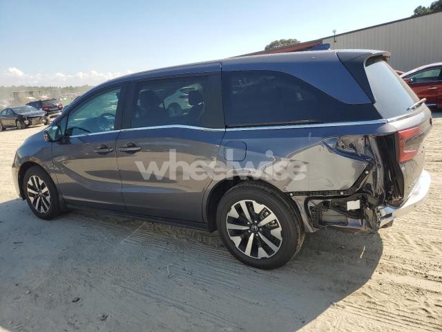 2025 HONDA ODYSSEY EXL (VIN 5FNRL6H61SB070492) main photo