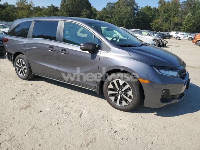 Photo 6 of 2025 HONDA ODYSSEY EXL (VIN 5FNRL6H61SB070492)