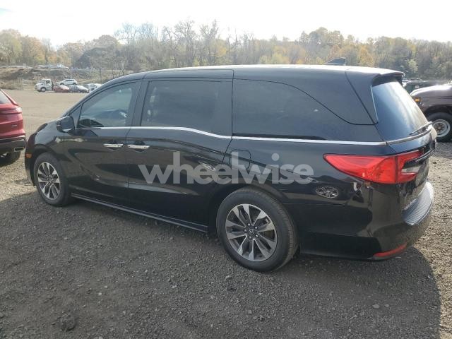 Photo 10 of 2023 HONDA ODYSSEY EXL (VIN 5FNRL6H62PB076065)