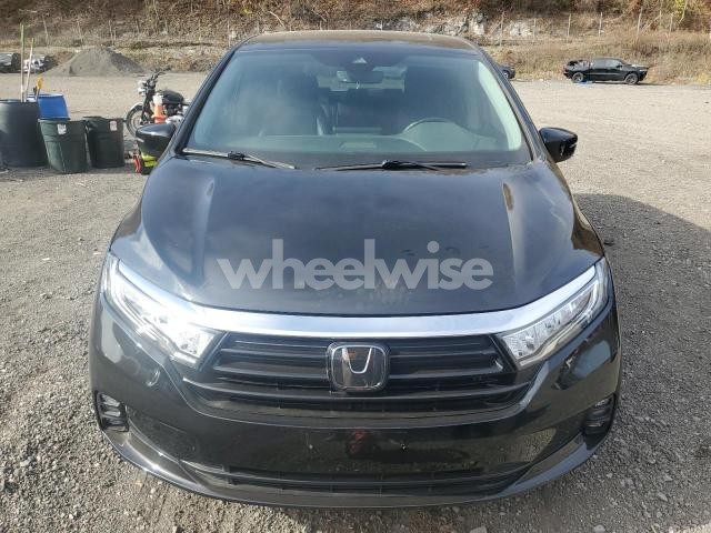 Photo 11 of 2023 HONDA ODYSSEY EXL (VIN 5FNRL6H62PB076065)