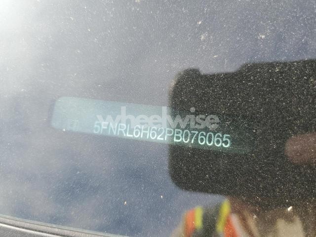 Photo 3 of 2023 HONDA ODYSSEY EXL (VIN 5FNRL6H62PB076065)