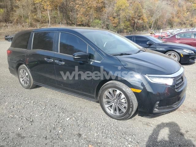Photo 5 of 2023 HONDA ODYSSEY EXL (VIN 5FNRL6H62PB076065)