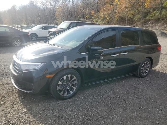 Photo 6 of 2023 HONDA ODYSSEY EXL (VIN 5FNRL6H62PB076065)