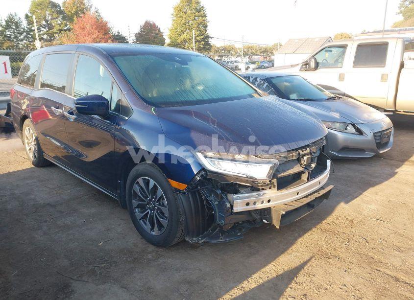 2024 Honda Odyssey EX-L (VIN 5FNRL6H62RB005161) main photo