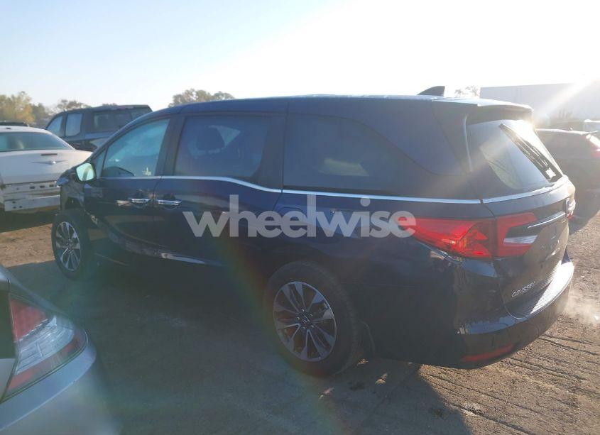 Photo 15 of 2024 Honda Odyssey EX-L (VIN 5FNRL6H62RB005161)