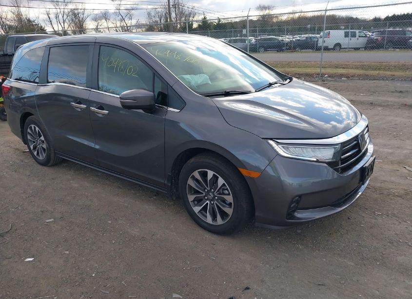 2024 Honda Odyssey EX-L (VIN 5FNRL6H62RB067126) main photo