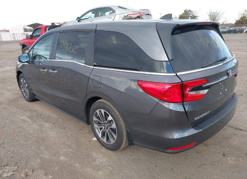 Photo 3 of 2024 Honda Odyssey EX-L (VIN 5FNRL6H62RB067126)