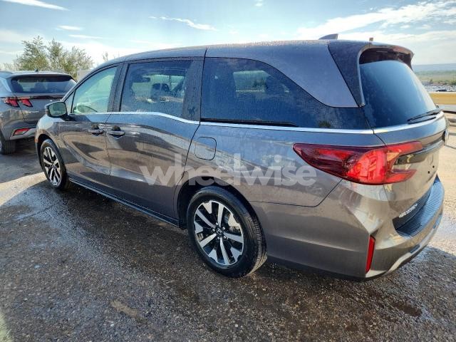Photo 7 of 2025 HONDA ODYSSEY EXL (VIN 5FNRL6H62SB082232)