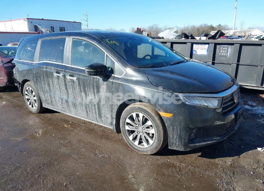 2024 Honda Odyssey EX-L (VIN 5FNRL6H63RB057902) main photo